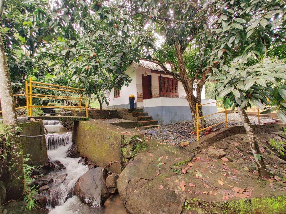 Nutmeg Valley Idukki Exteriér fotografie